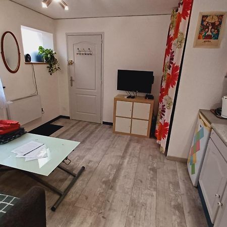 Studio Cosy Tout Confort Gaillac Centre. エクステリア 写真